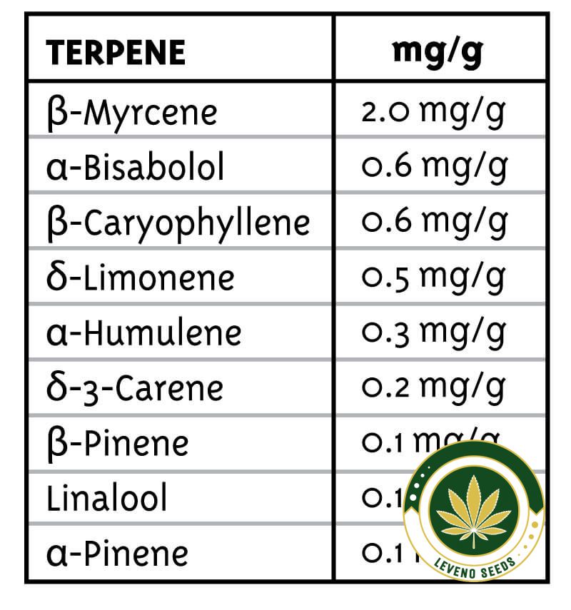 blueberry-muffin-terpenes_2.jpg