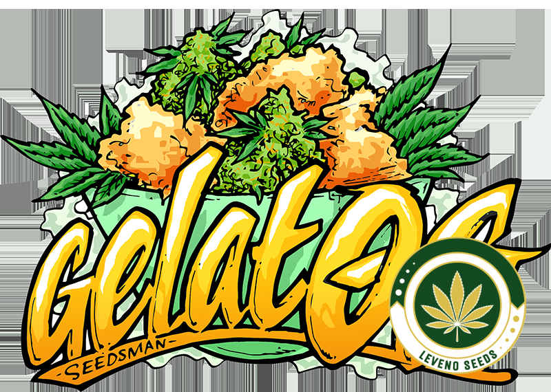 gelato-og-web.png