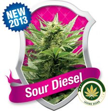 sour-diesel-web-1.jpg